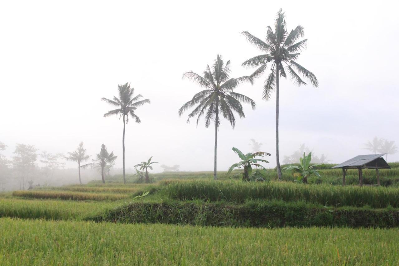 Agus Hidden Homestay - Banjar Sweet Village Banyuwangi  Exterior foto