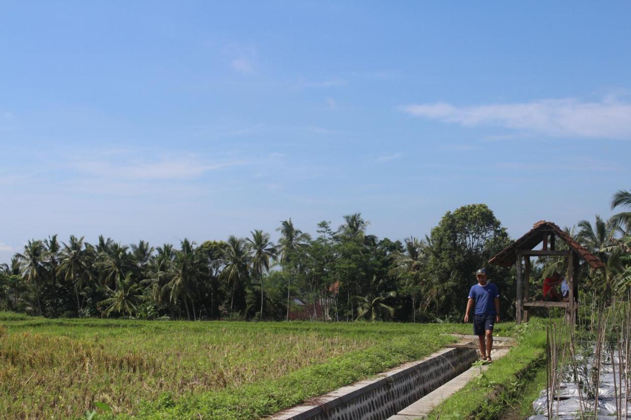 Agus Hidden Homestay - Banjar Sweet Village Banyuwangi  Exterior foto